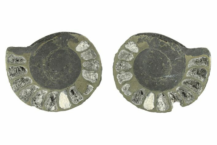 Pyritized Cut Ammonite Fossil Pair - Morocco #276677